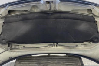 Capot CITROEN C3 1
