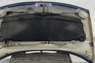 Capot CITROEN C3 1