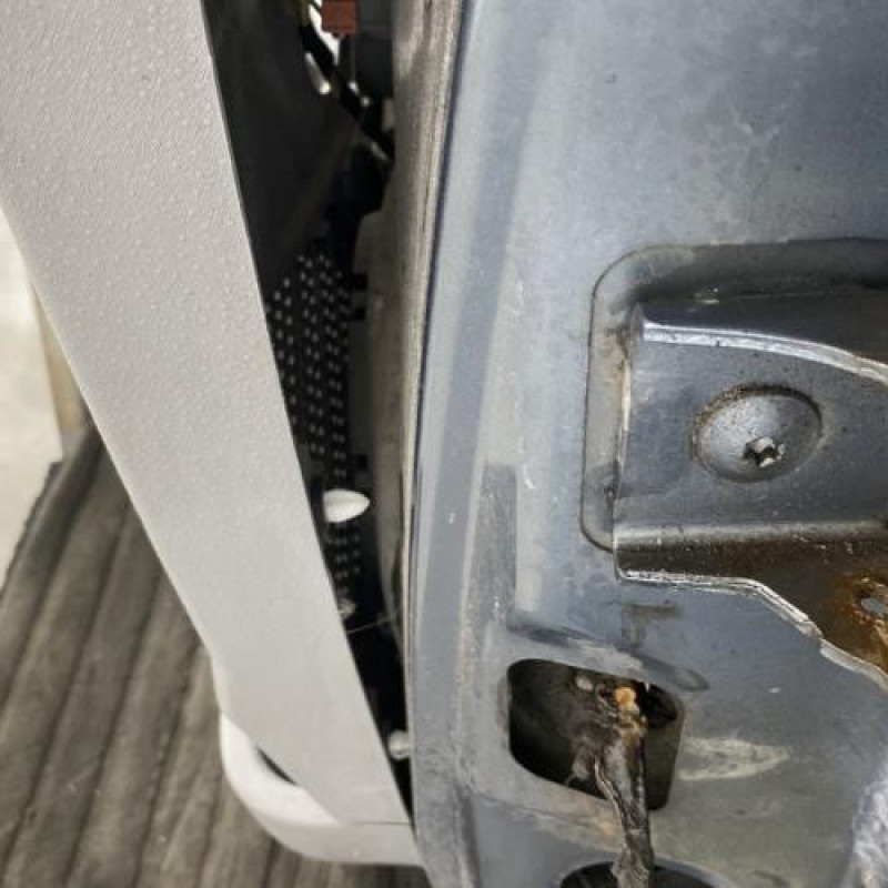 Porte avant gauche CITROEN C3 1 Photo n°4