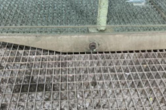 Vitre avant droit CITROEN SAXO