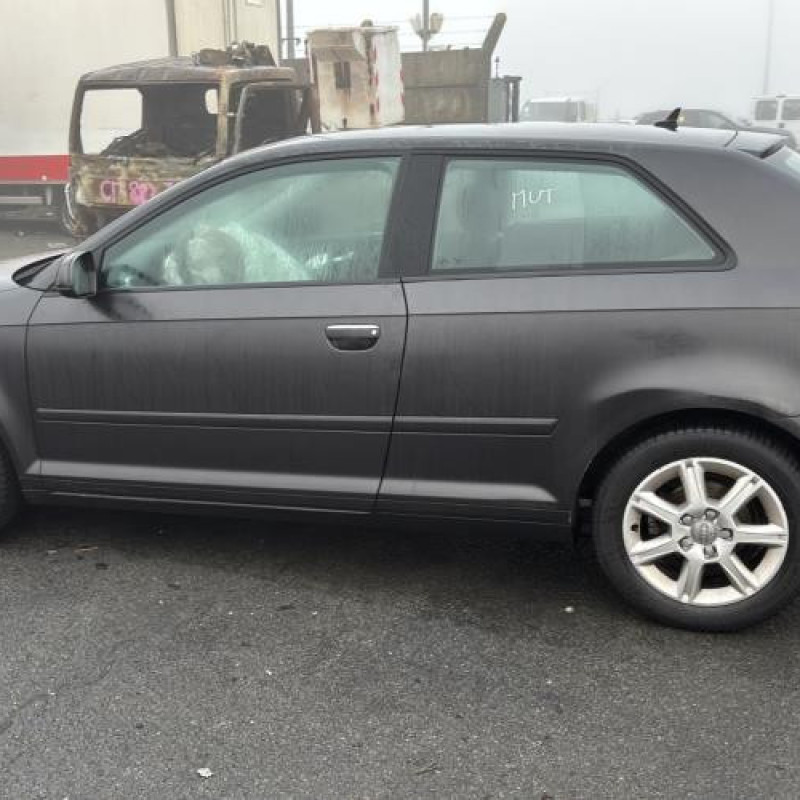 Malle/Hayon arriere AUDI A3 2 Photo n°17