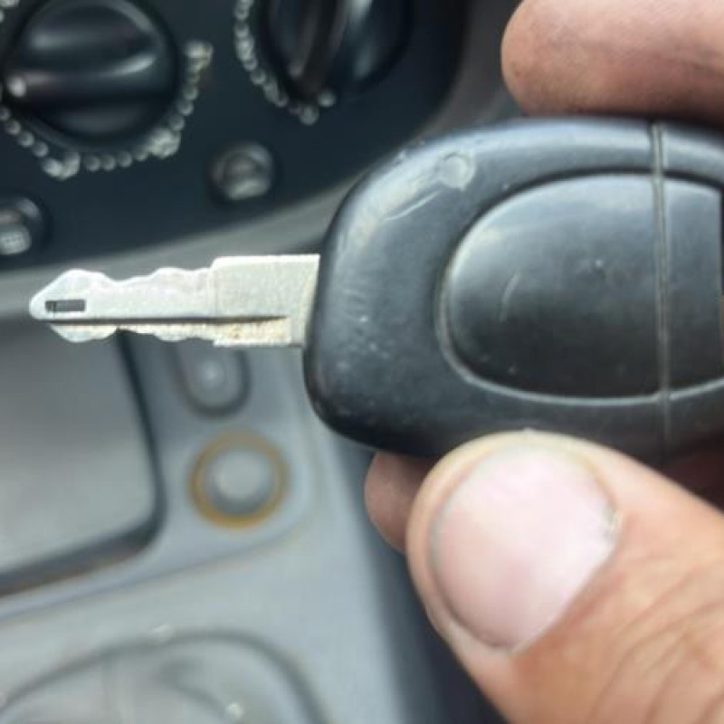 Calandre RENAULT CLIO 2 Photo n°6