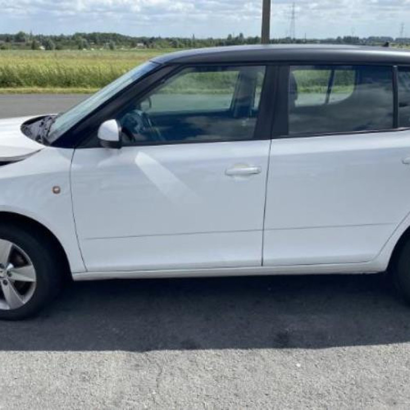 Moteur SKODA FABIA 2 Photo n°7