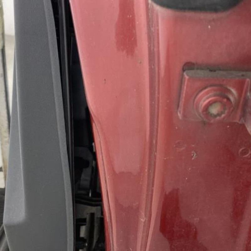 Porte avant gauche SEAT LEON 2 Photo n°4