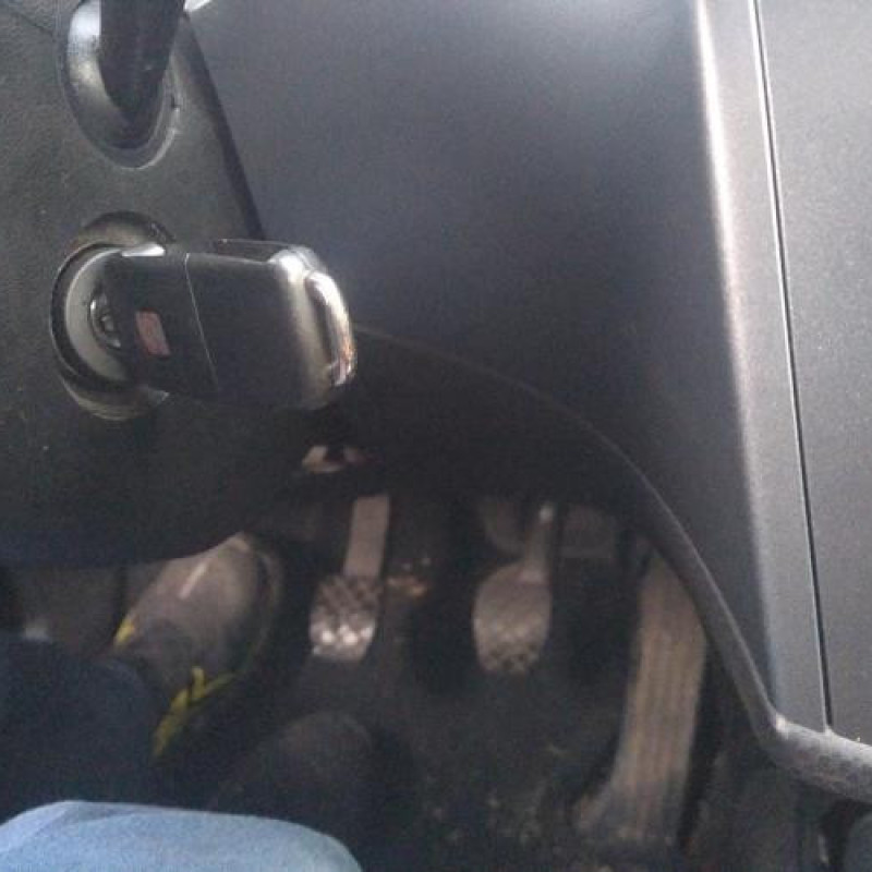 Porte avant gauche SEAT LEON 2 Photo n°17
