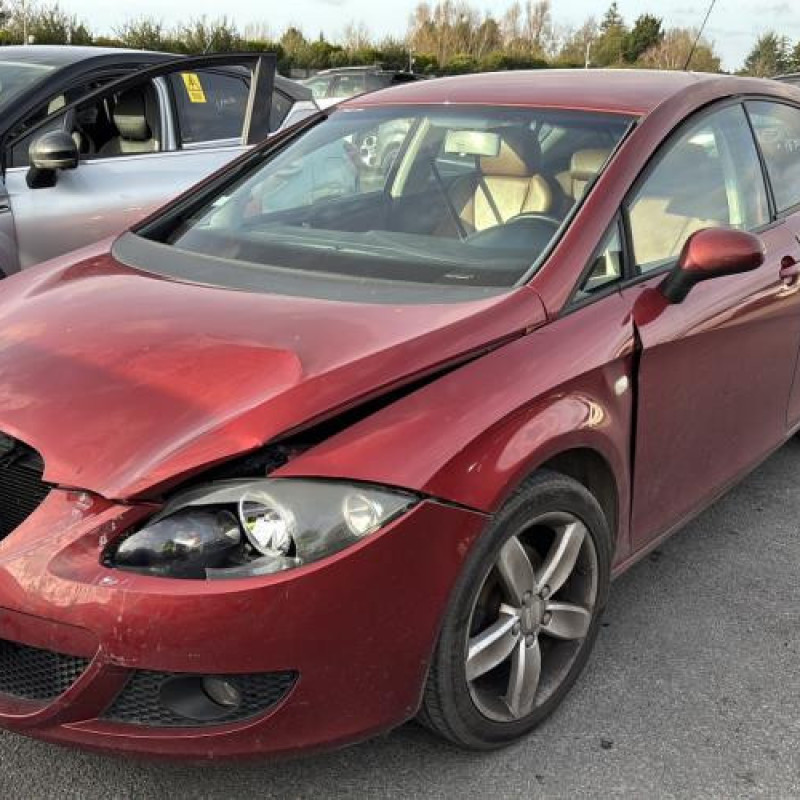 Porte avant gauche SEAT LEON 2 Photo n°19