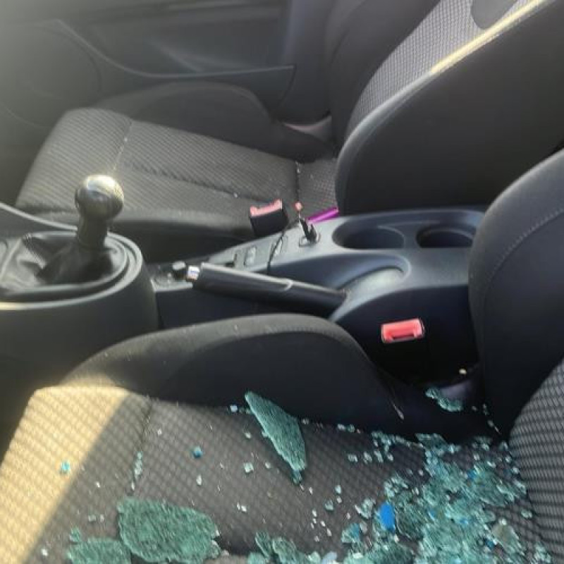 Porte avant gauche SEAT LEON 2 Photo n°10