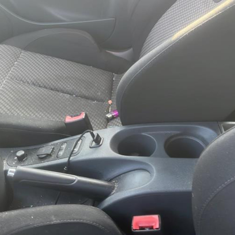 Porte avant gauche SEAT LEON 2 Photo n°13