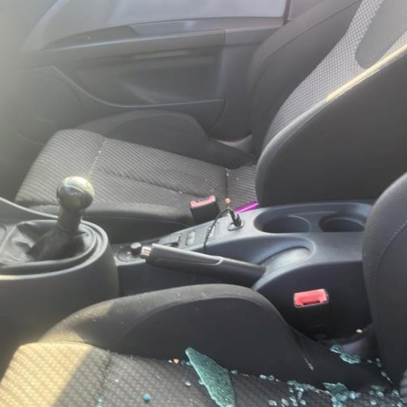 Porte avant gauche SEAT LEON 2 Photo n°16