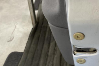 Porte avant droit RENAULT CLIO 2