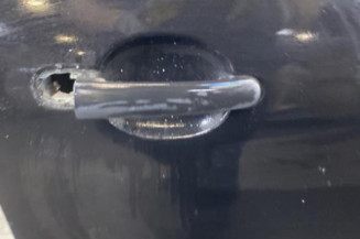 Porte avant droit VOLKSWAGEN POLO 4