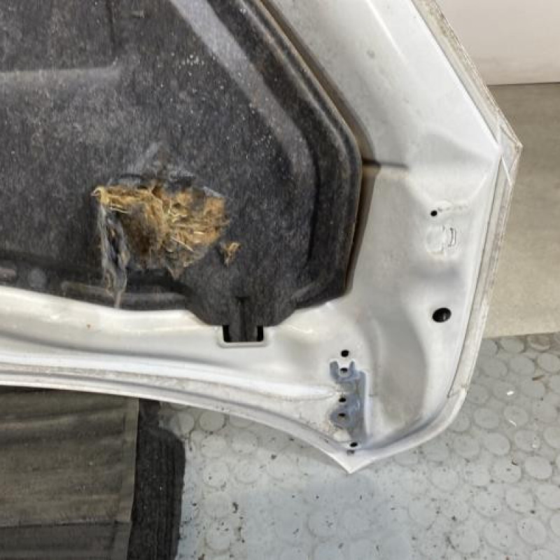 Capot MAZDA 2 2 Photo n°7