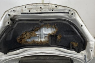Capot MAZDA 2 2