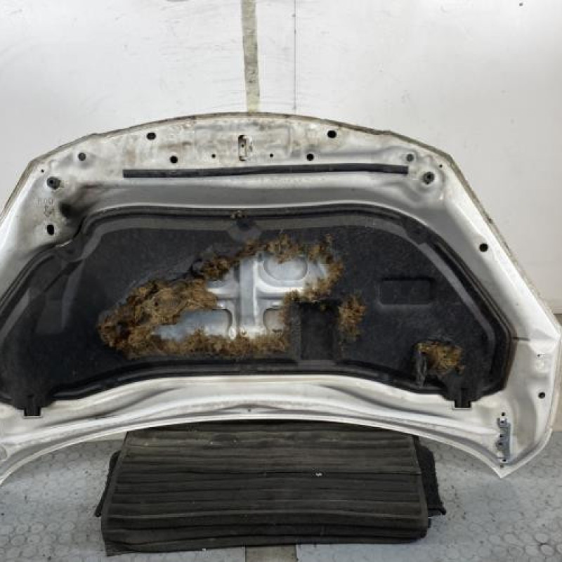 Capot MAZDA 2 2 Photo n°8