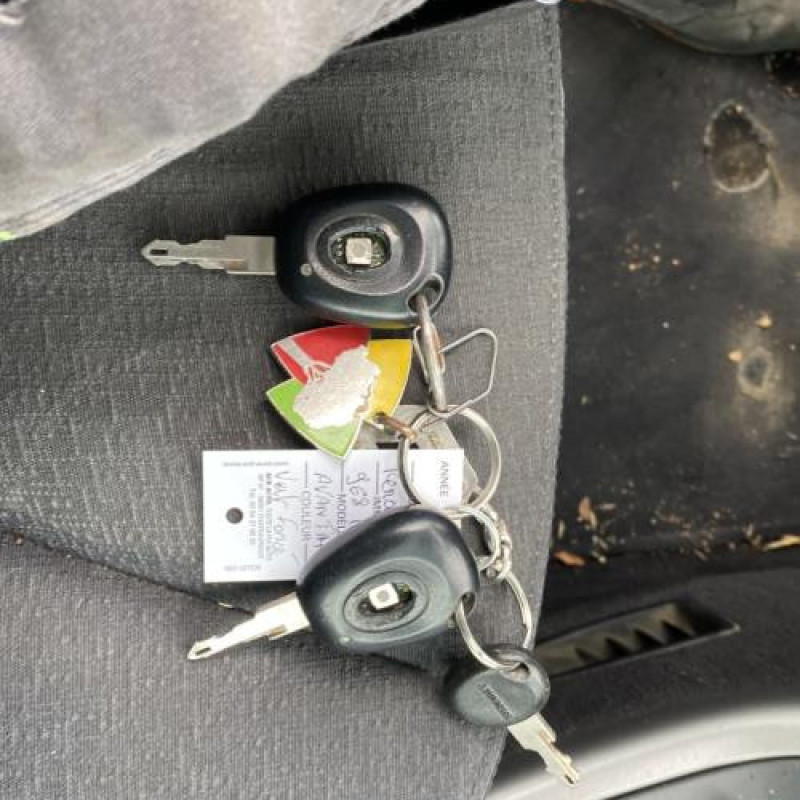 Vitre arriere droit RENAULT AVANTIME Photo n°17