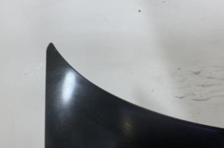 Capot RENAULT SAFRANE