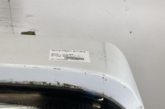 Malle/Hayon arriere RENAULT SCENIC 3