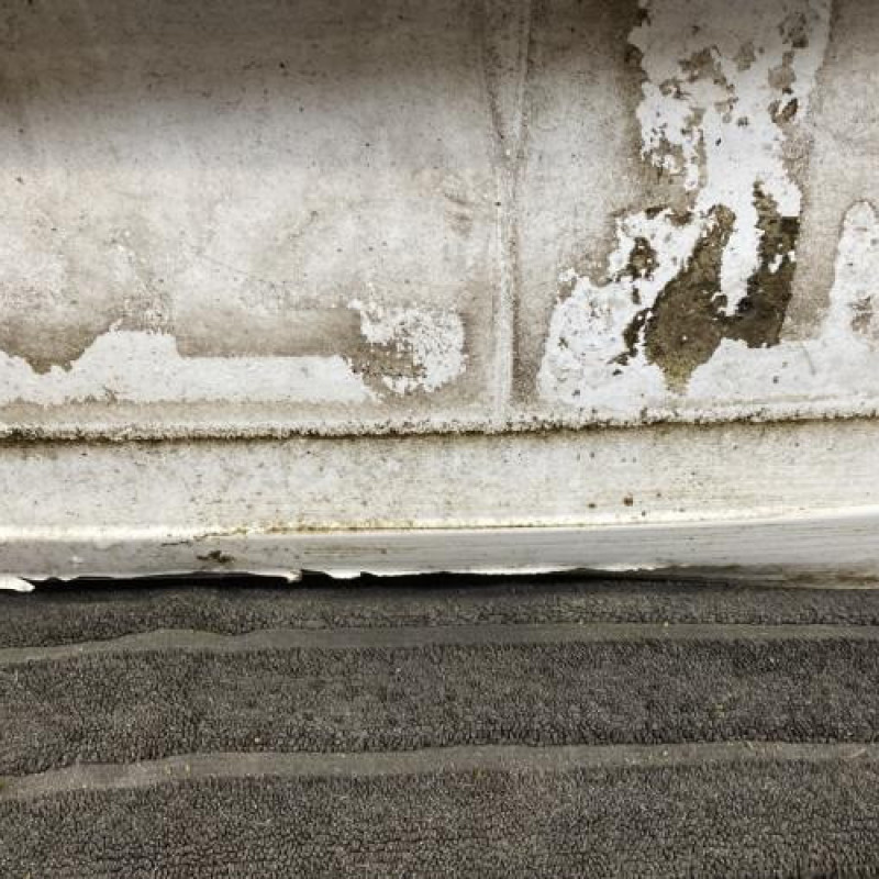 Malle/Hayon arriere RENAULT SCENIC 3 Photo n°7