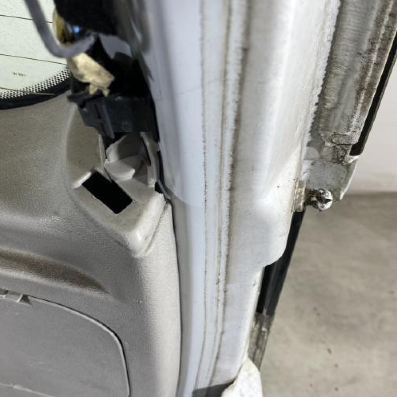 Malle/Hayon arriere RENAULT SCENIC 3 Photo n°9