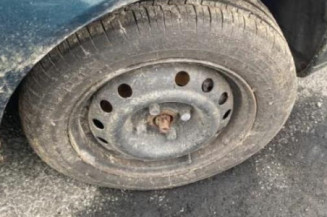 Aile avant gauche DAEWOO NEXIA