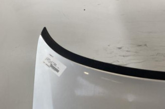 Capot CITROEN XSARA