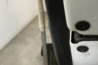 Porte arriere droit RENAULT SCENIC 3