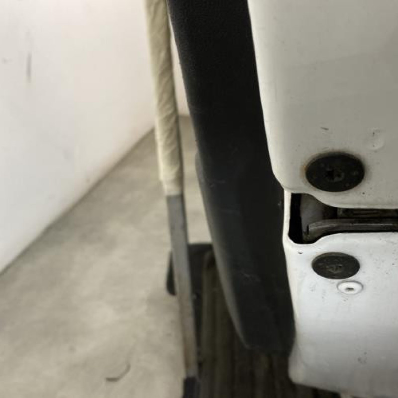 Porte arriere droit RENAULT SCENIC 3 Photo n°3