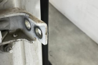 Porte arriere droit RENAULT SCENIC 3
