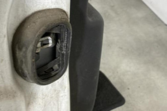Porte arriere droit RENAULT SCENIC 3