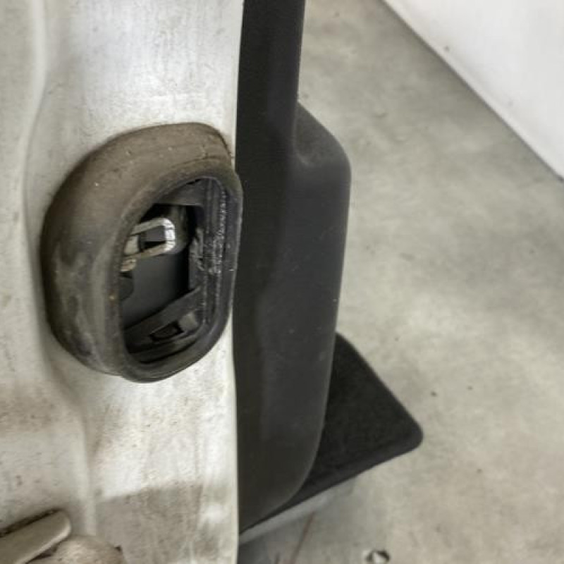 Porte arriere droit RENAULT SCENIC 3 Photo n°5