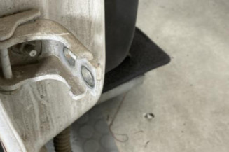 Porte arriere droit RENAULT SCENIC 3