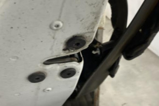 Porte arriere gauche RENAULT CLIO 4