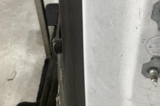 Porte arriere gauche RENAULT CLIO 4