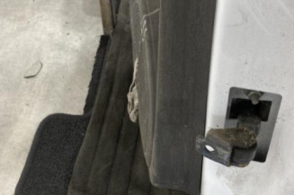 Porte arriere gauche RENAULT CLIO 4