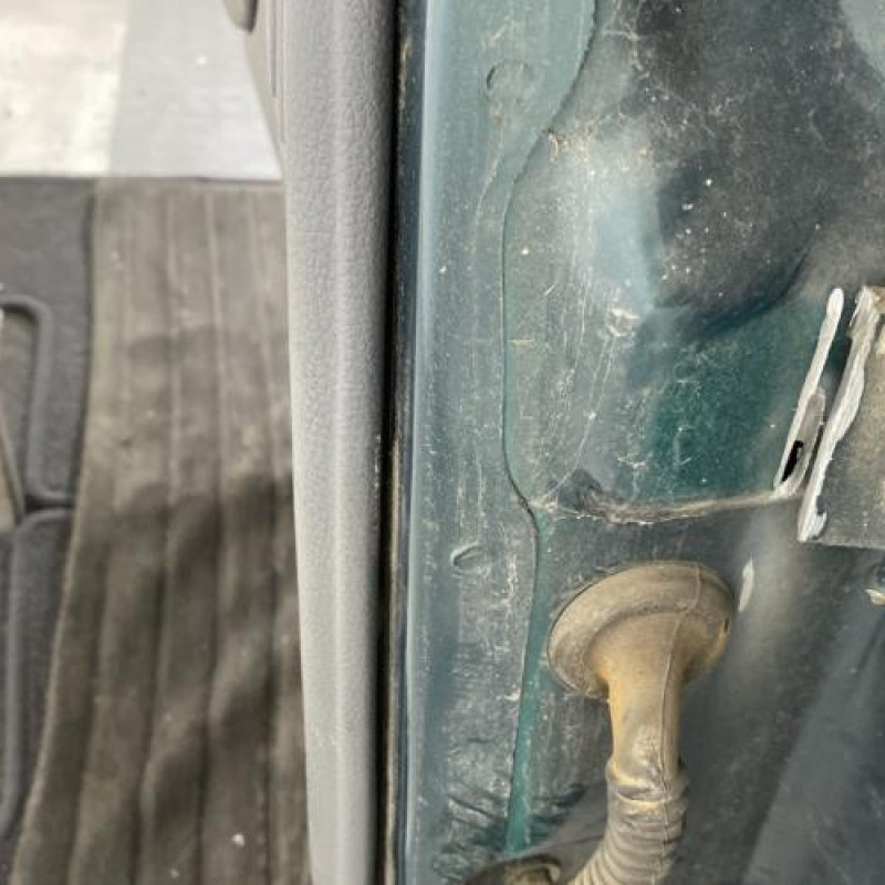 Porte arriere gauche DAEWOO NEXIA Photo n°4