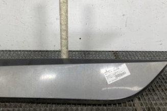 Baguette de porte arriere gauche  RENAULT SCENIC 3 Photo n°1