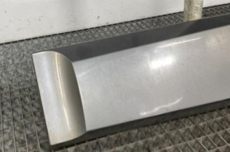 Baguette de porte arriere gauche  RENAULT SCENIC 3