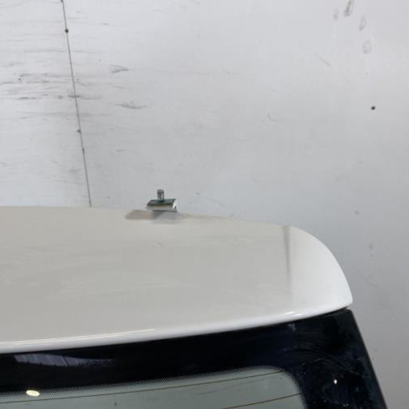 Malle/Hayon arriere SKODA FABIA 2 Photo n°3