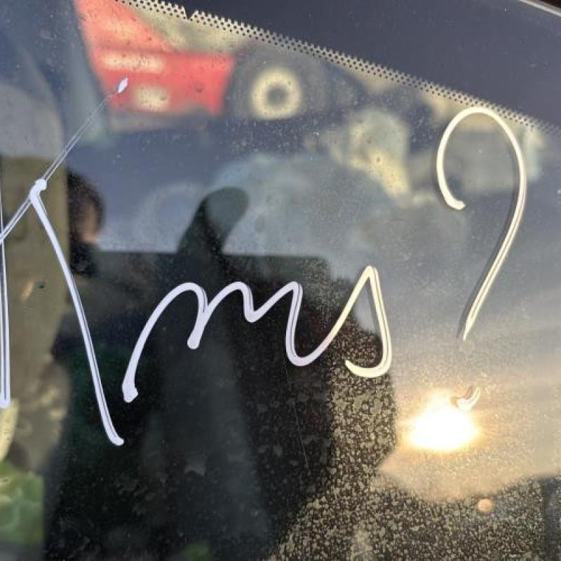 Amortisseur avant droit FORD KA 2 Photo n°13
