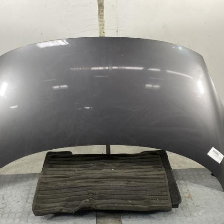 Capot RENAULT SCENIC 3 Photo n°1