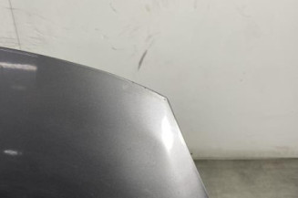 Capot RENAULT SCENIC 3