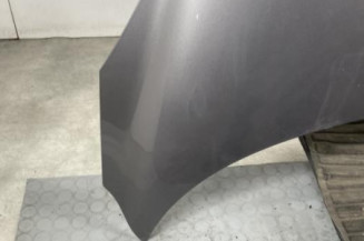 Capot RENAULT SCENIC 3