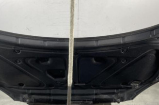 Capot RENAULT KOLEOS 1