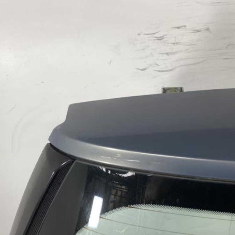 Malle/Hayon arriere RENAULT SCENIC 2 Photo n°2