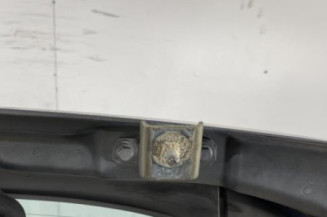 Malle/Hayon arriere RENAULT SCENIC 2