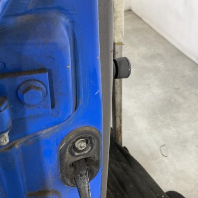 Porte arriere droit FIAT PANDA 2 Photo n°4
