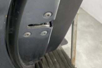 Porte arriere gauche RENAULT KOLEOS 1