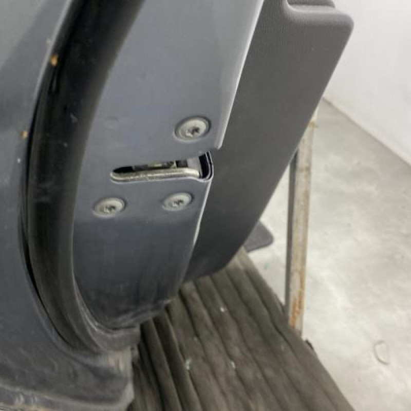 Porte arriere gauche RENAULT KOLEOS 1 Photo n°3