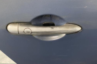 Porte arriere droit RENAULT SCENIC 2