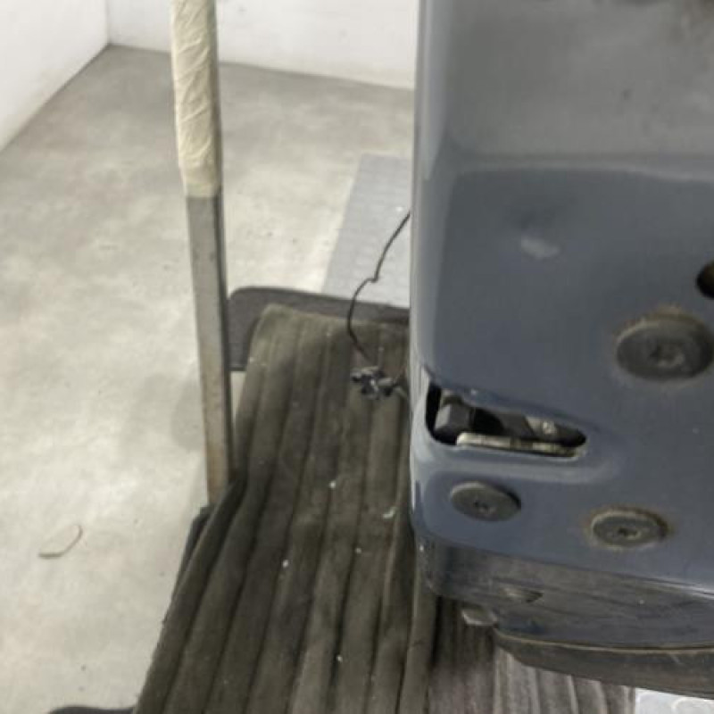Porte arriere droit RENAULT SCENIC 2 Photo n°3